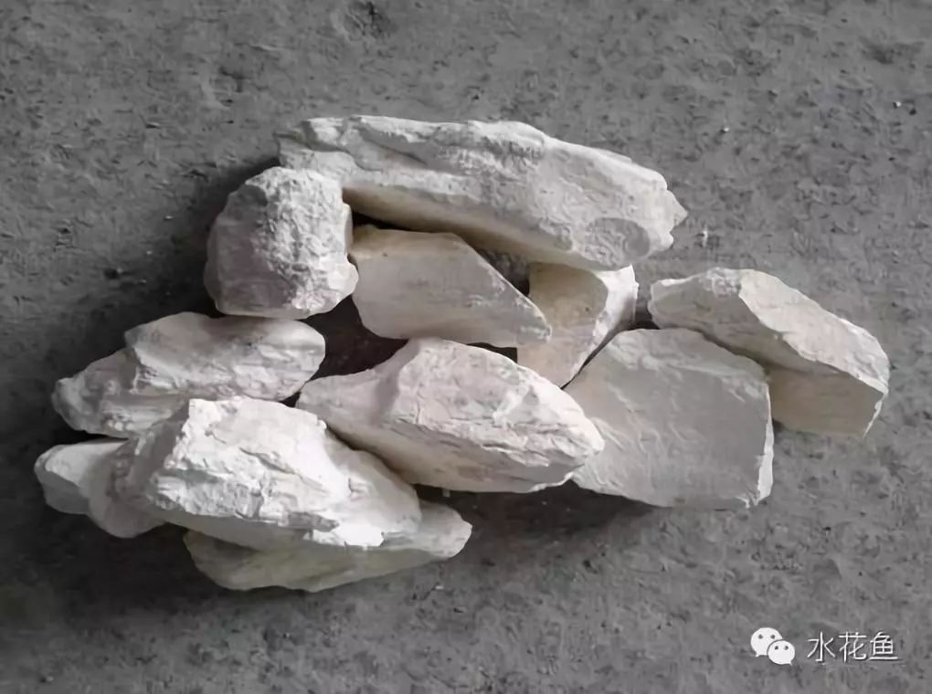 除虫菊酯类农药中毒治疗措施,菊脂类农药中毒解毒方法