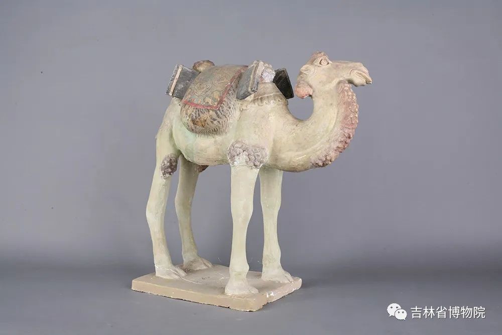 参观吉林省博物院,吉林省博物馆永远的长安