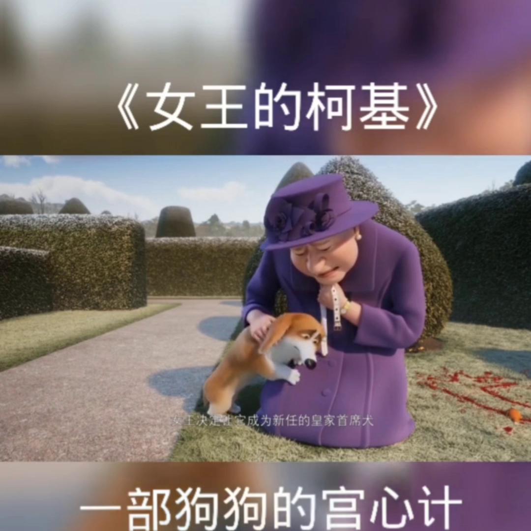 看了又看韩剧,看了又看全集