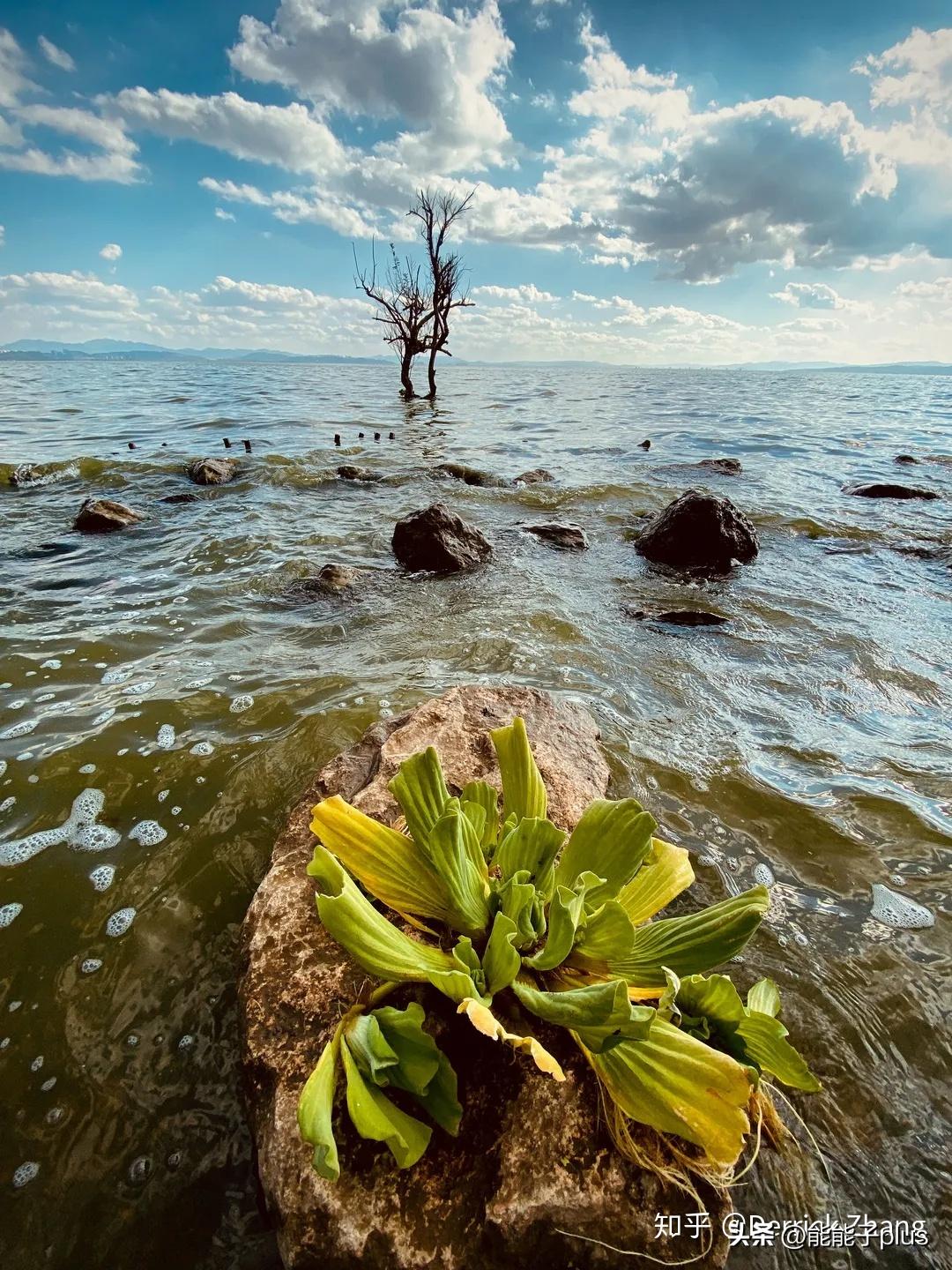 iphone12相机美颜怎么开,iphonex相机最佳设置