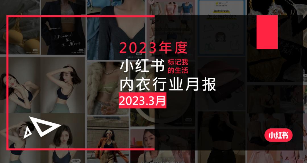小红书2023年度总结入口,小红书美妆行业分析