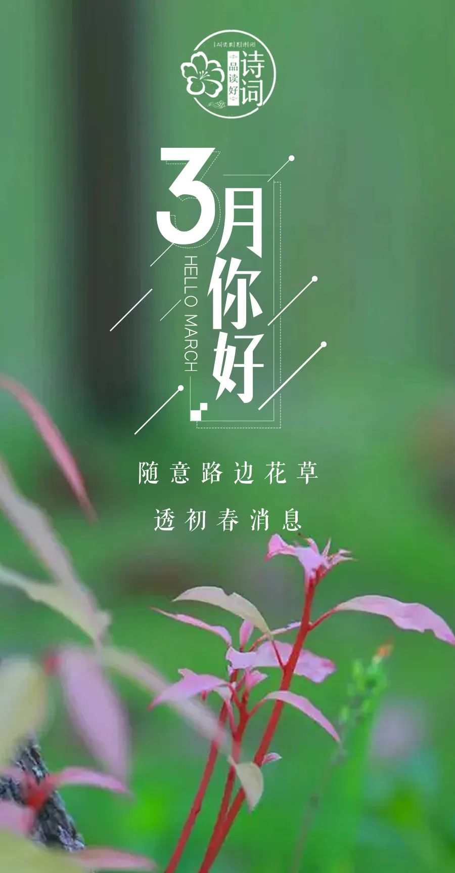 描写三月春天的诗句和优美句子,关于描写三月春暖花开的诗句