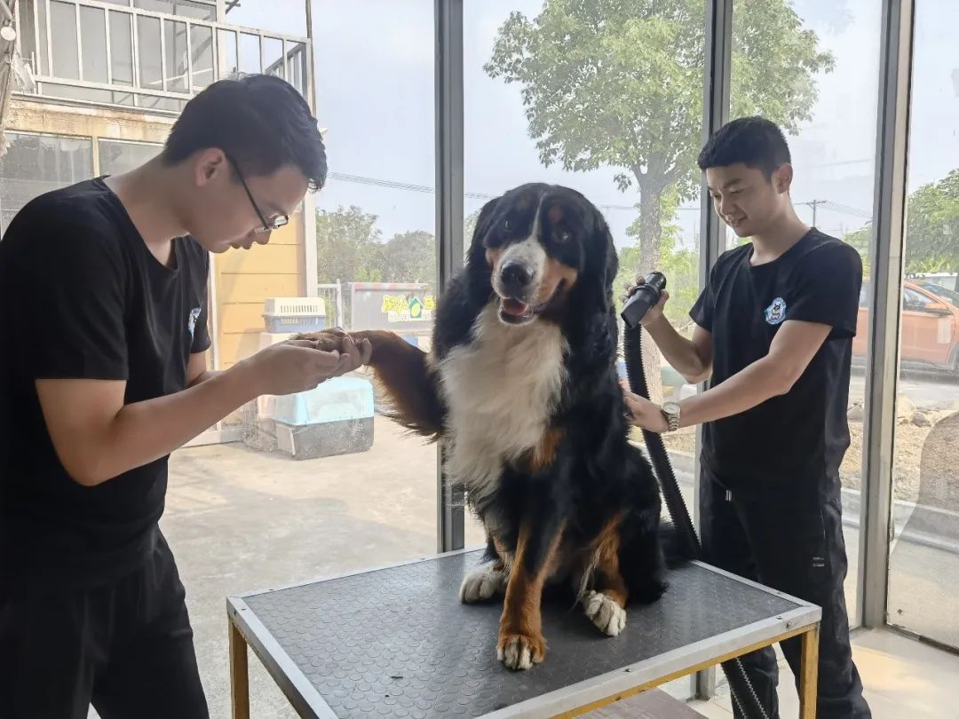 酷贝现在怎样了,你踩过坑吗测试