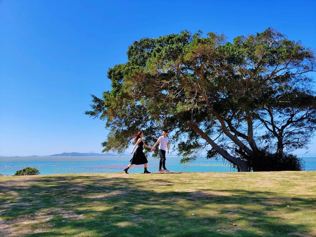 汕头潮州南澳岛旅游攻略,潮州汕头南澳岛自驾游攻略