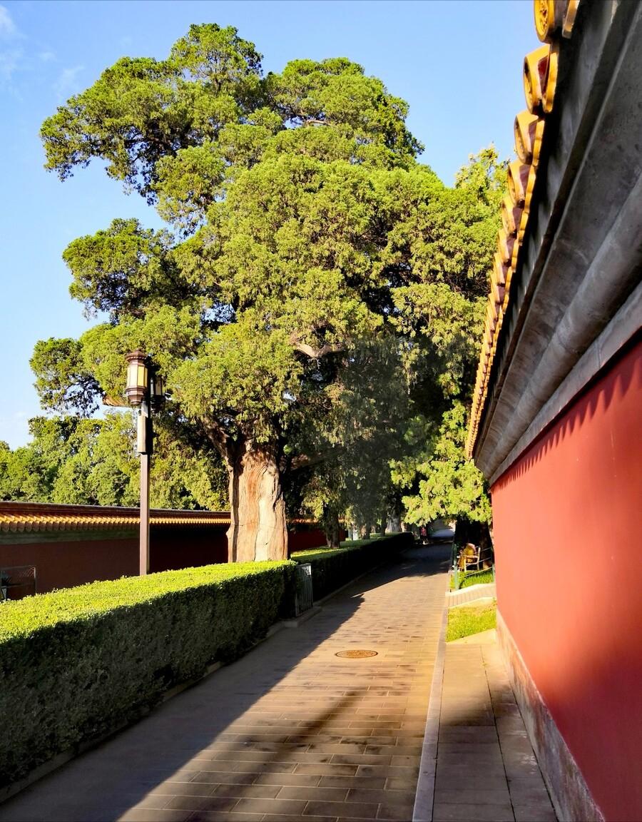 品名家著作，游生命之旅——《史铁生散文精选》读书笔记