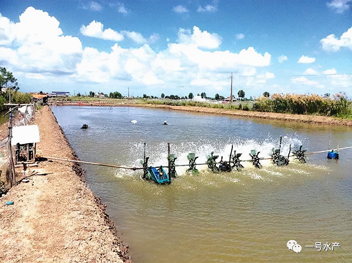 纳米银为啥能杀菌,纳米银杀菌