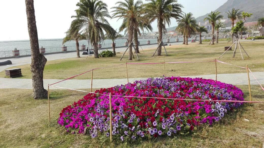 跟随老韩走遍中国，台湾自助游之七