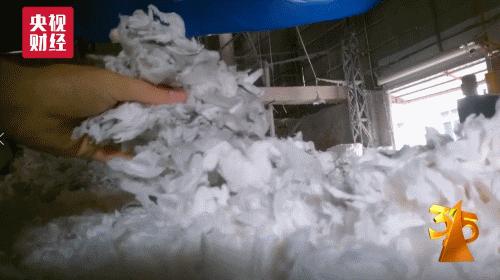 卫生巾内发现虫卵,卫生巾有细扁的小虫子