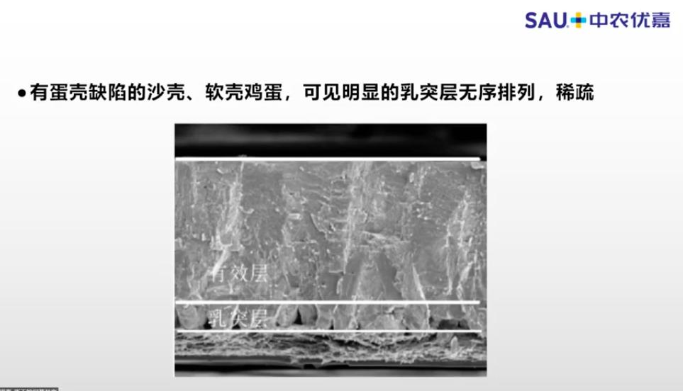 中农优嘉饲料好在哪方面,中农优嘉预混料质量怎么样