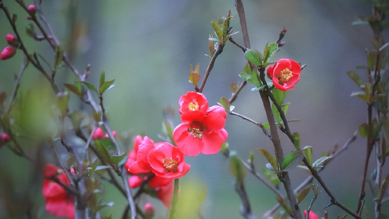 如何把陌生人变成精准人脉,怎样快速与陌生人拉近关系