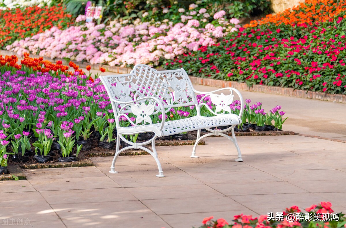 三年级上册语文花的学校课文讲解,三年级上册语文课文花的学校解读