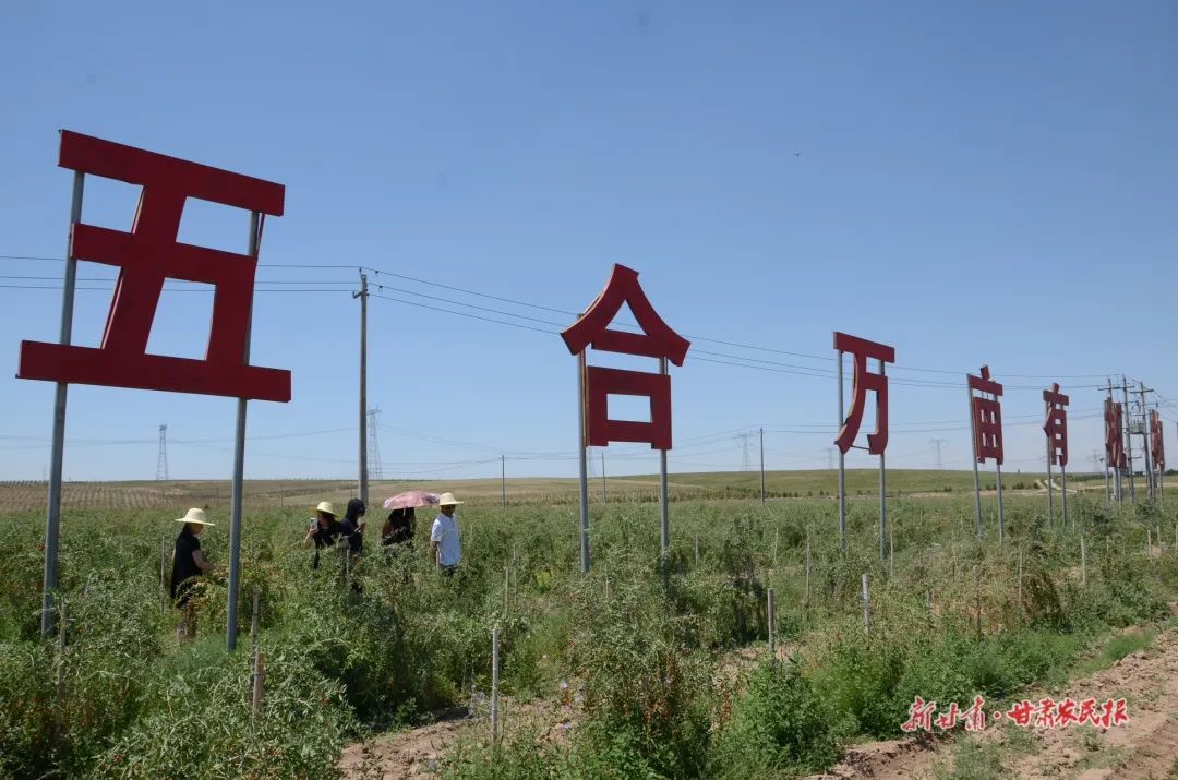 撂荒地治理措施及成效,撂荒地整治有哪些难题