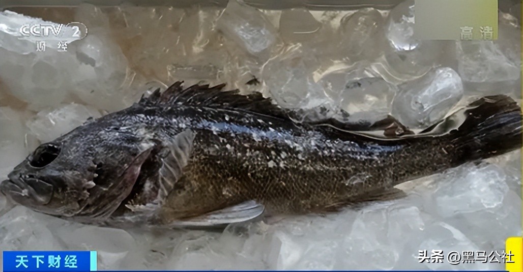 全球对日本核污染水如何处理,全球海啸核污染