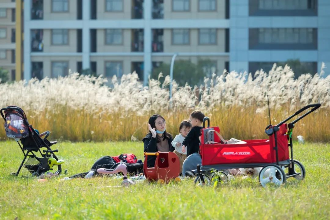 10个城市宝藏,成都还有哪些宝藏公园