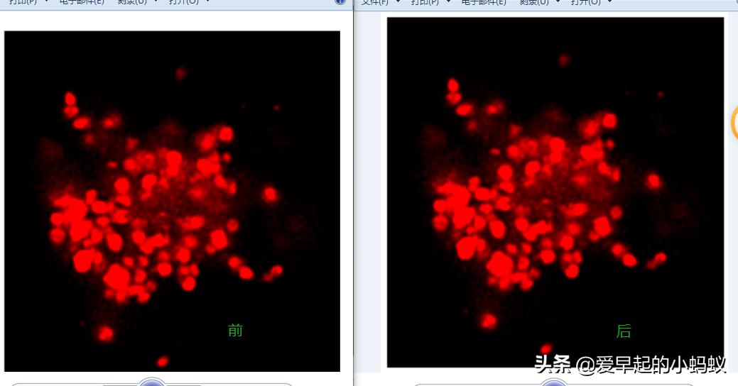 如何用ppt组合sci论文中的图,sci图如何用ppt绘图