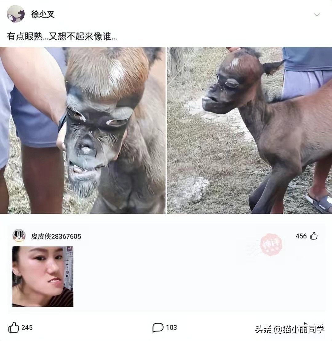 怎么说才能让领导知道茶叶很贵 (怎么高情商告诉领导买的茶叶贵)