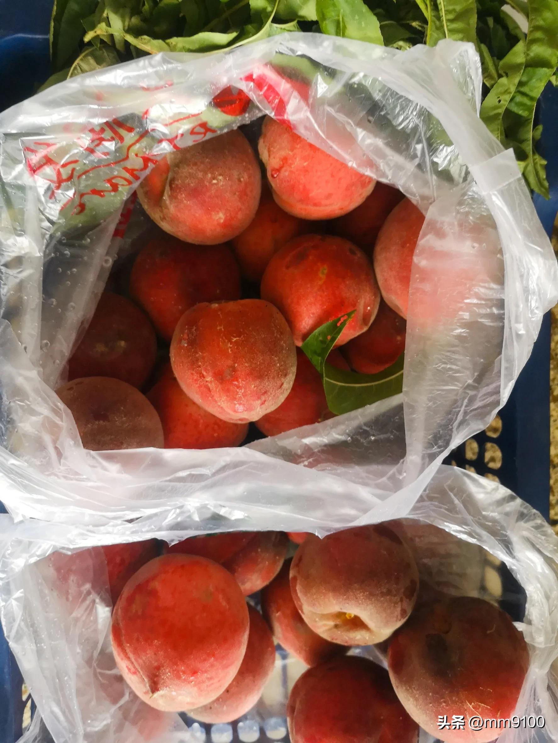 职场生存法则职场关系,职场生存法则团队协作