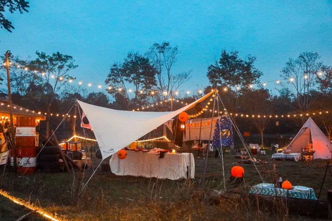 萌宠万圣狂欢夜,萌宠露营云龙区