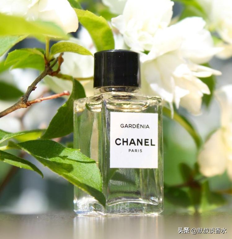 香奈儿栀子花香水200ml价格,香奈儿栀子花和嘉柏丽尔哪个好闻