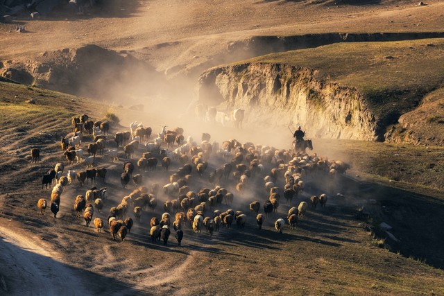 民族特色文化的发展趋势,56个民族里面文化最齐全的有哪些