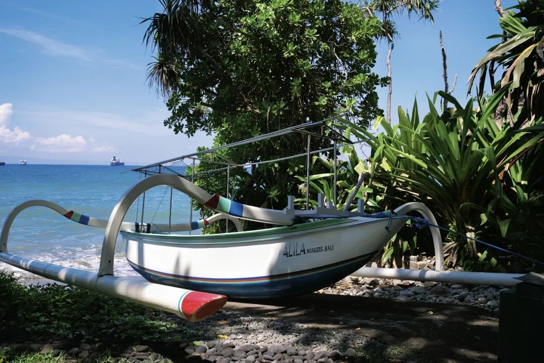 这可能是全球性价比最高的一家阿丽拉