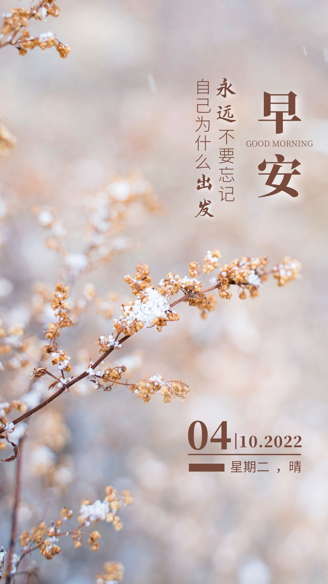 和运气有关系的早安心语,励志的图片带字正能量的早安