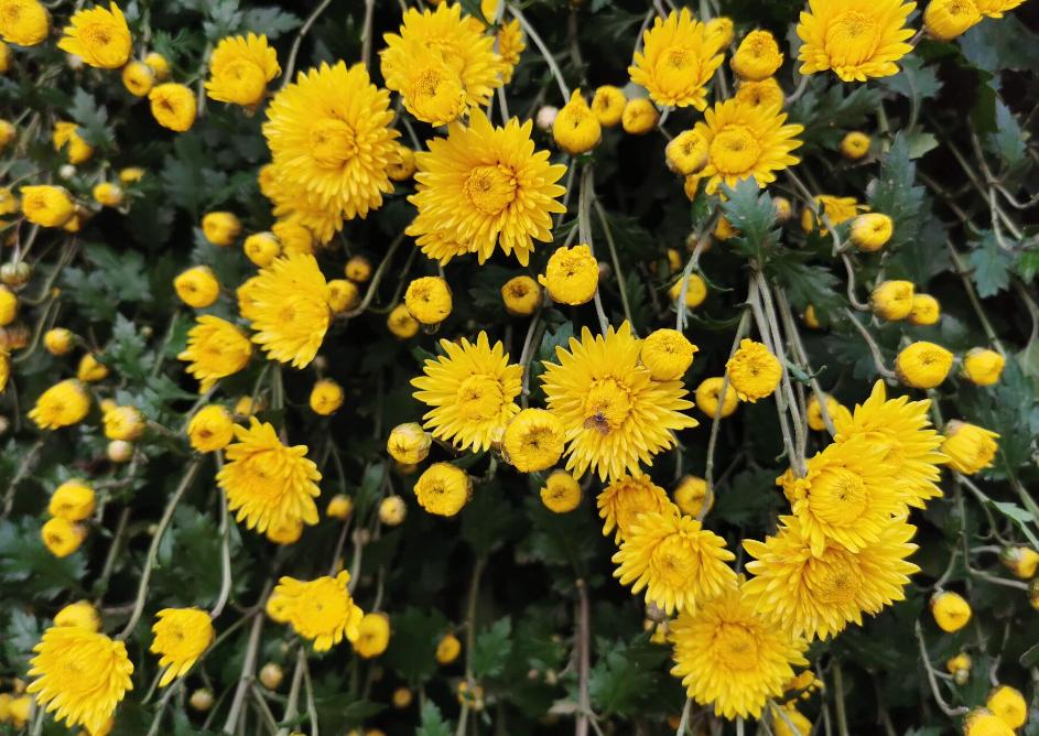 古今中外最著名的十首诗,古今最经典的十首诗