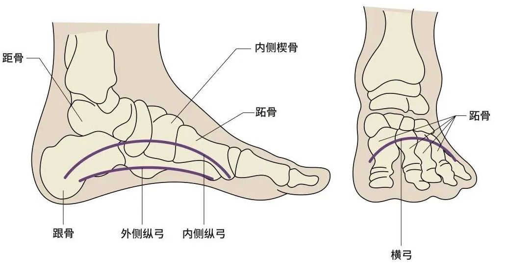 鞋子太紧穿不舒服怎么办,鞋子太松不跟脚