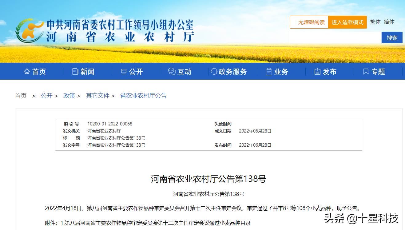 2023抗病高产小麦品种,河南抗倒伏高产小麦品种