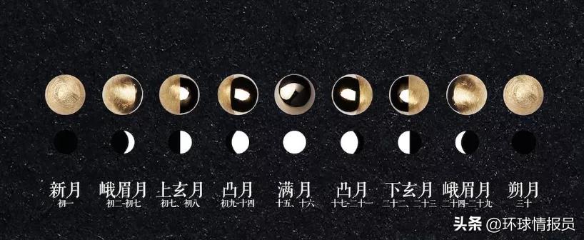 猫为什么没有入选十二生肖,越南为什么把兔年叫猫年