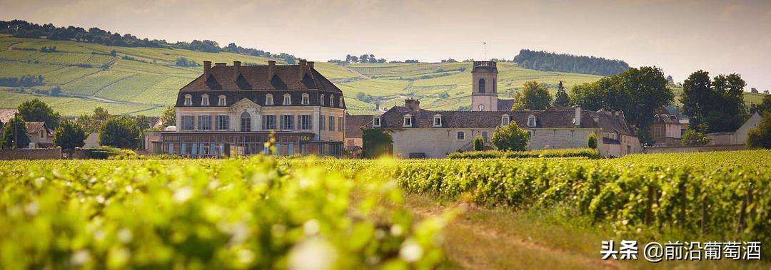 怎么挑选香槟,法国哪种香槟酒最好