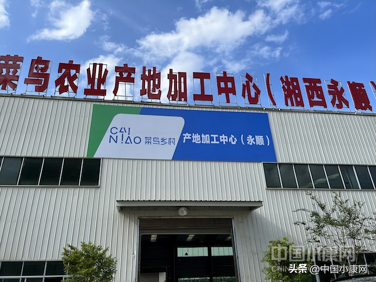 阿里巴巴在乡村振兴方面,阿里巴巴乡村振兴模式研究报告