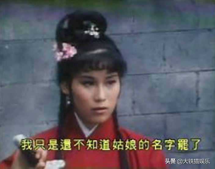 杨不悔黎姿,八版杨不悔