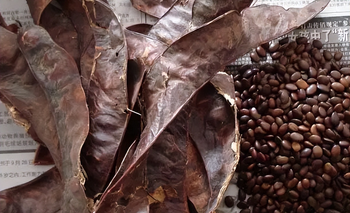 常腹痛拉肚子？光健脾可不行！一个妙方只三味药，扫清瘀浊止腹泻