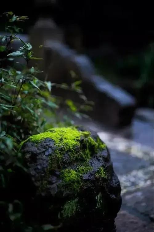 鏃跺厜娓呮祬宀佹湀鎮犵劧,宀佹湀娓呮祬鏃跺厜鎮犵劧