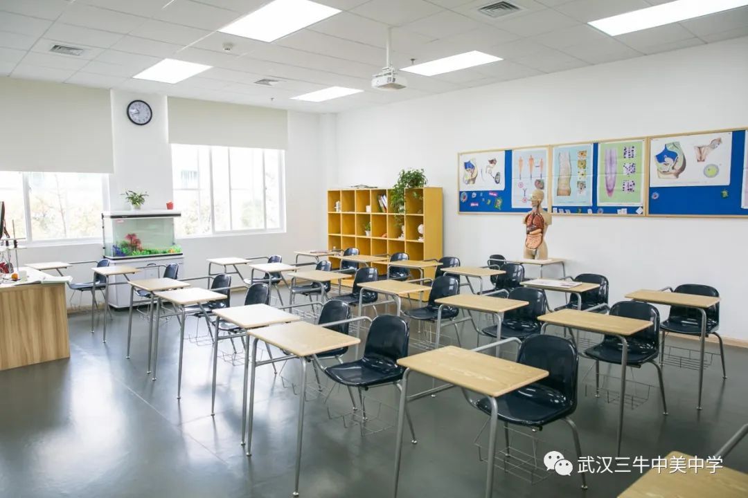 武汉三牛中美中学,武汉三牛中美中学排名及费用