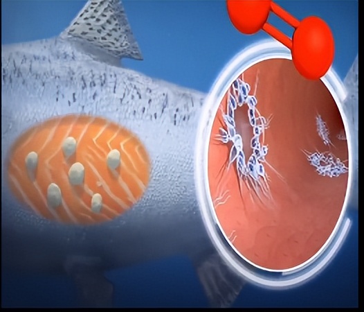 中国天眼真的收到外星人的信号吗,中国天眼发现外星人信号了吗