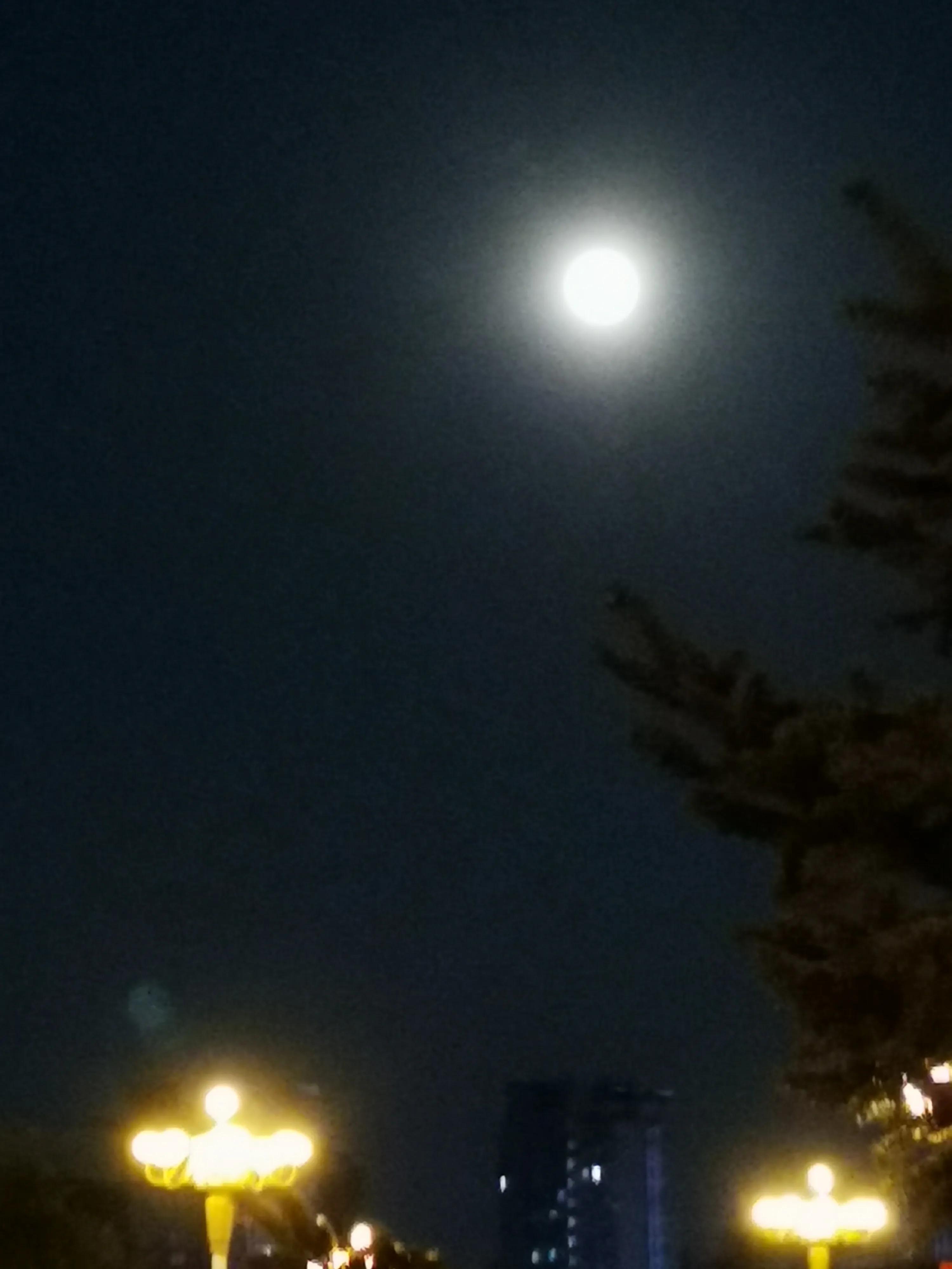 分享你拍下的最美月亮,中秋最美的月亮发朋友圈