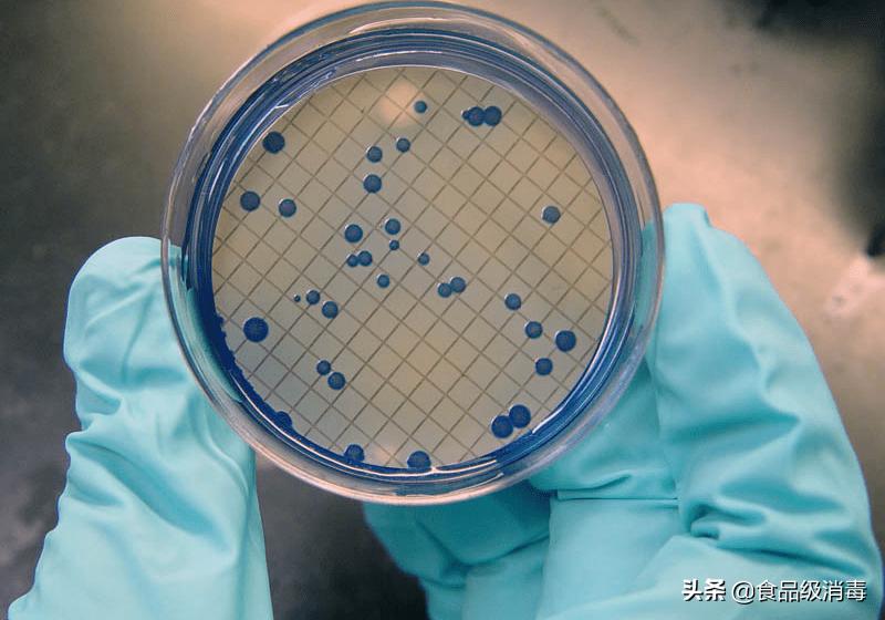 化妆品中微生物的危害视频,化妆品微生物污染