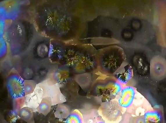 日本专家鉴定国宝级文物,日本专家收藏中国古董