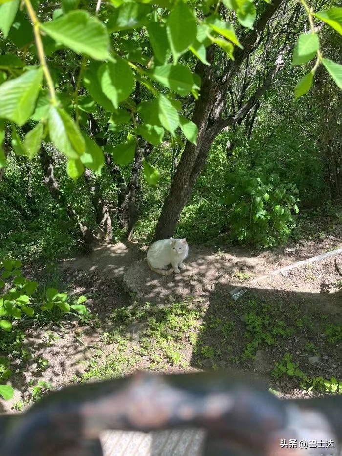 北京长城八达岭旅游攻略自由行,去北京八达岭长城旅游攻略自由行