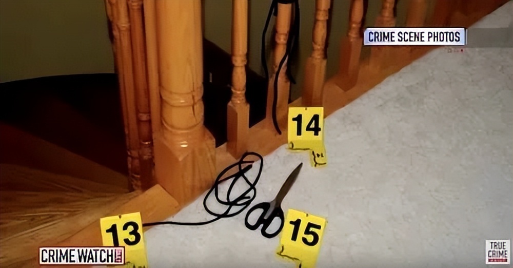 加拿大女儿雇凶杀父母案,加拿大女儿雇凶