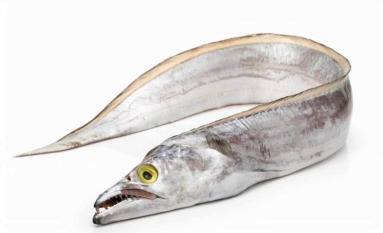 最常见的50种食用鱼吃法和价格,十种常用食用鱼类介绍