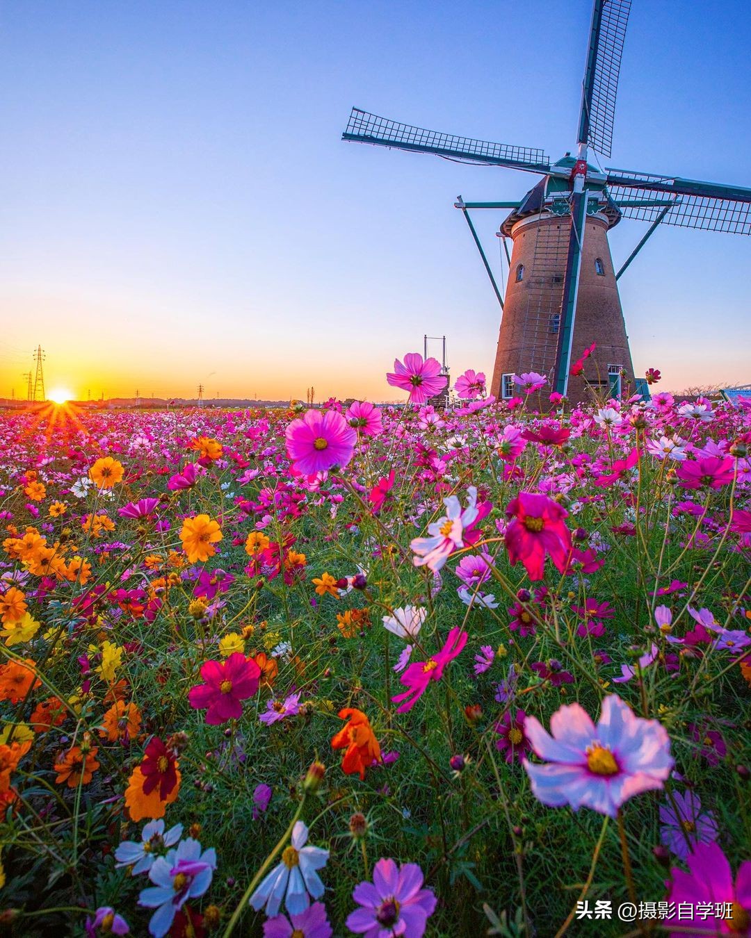 风景手机拍照教程零基础学摄影,新手手机拍照风景技巧