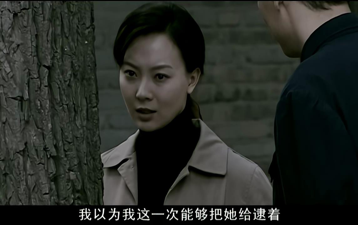 一口气看完谍战剧暗算全集解说,看国产的谍战电视剧