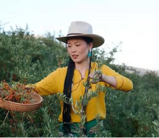 90后女孩放弃大城市，回高原当农民年销200吨枸杞，营业额上千万