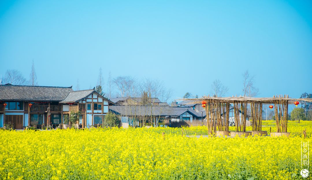 1.5h刹拢！被誉为川版“花城”，这个宝藏好耍地美得不像话