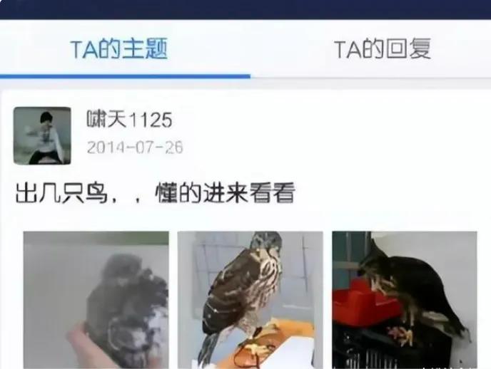 河南新乡大学生掏鸟窝被判了十年,河南少年掏鸟窝判十年后续