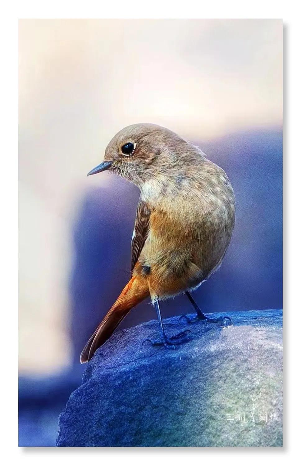 上海国际汽车城安亭,上海市嘉定区安亭国际汽车城