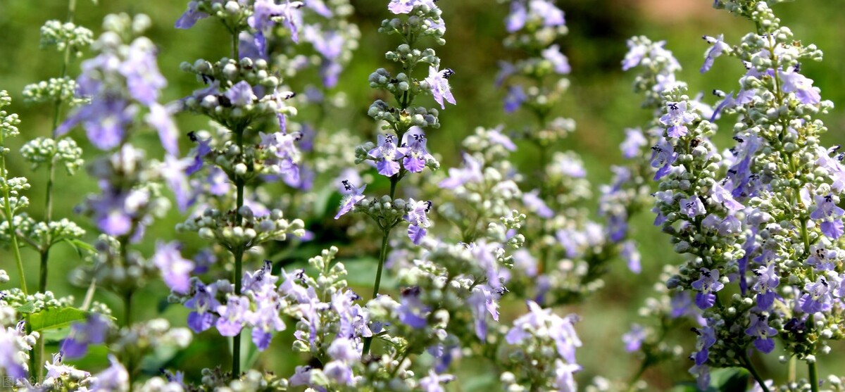 上级同事搭我的车流产了，结果我升职了